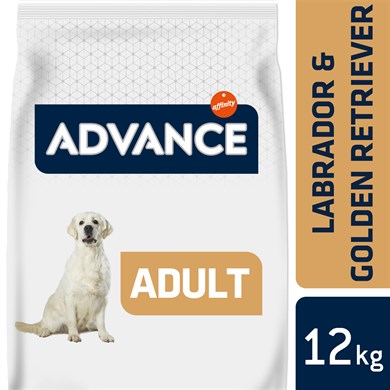 Advance Dog Labrador Retriever 12 Kg Köpek Maması